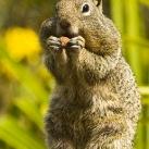 thumbs animaux fun 010 Des Animaux Fun x) (47 photos)