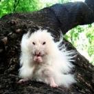 thumbs animaux fun 011 Des Animaux Fun x) (47 photos)