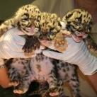 thumbs animaux fun 020 Des Animaux Fun x) (47 photos)