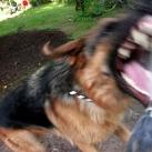 thumbs animaux fun 028 Des Animaux Fun x) (47 photos)