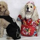 thumbs animaux fun 029 Des Animaux Fun x) (47 photos)