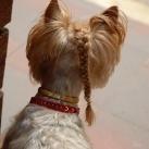 thumbs animaux fun 040 Des Animaux Fun x) (47 photos)