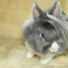 thumbs animaux fun 042 Des Animaux Fun x) (47 photos)