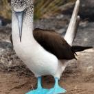 thumbs animaux fun 003 Des Animaux Fun x) (47 photos)