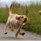 thumbs animaux fun 005 Des Animaux Fun x) (47 photos)