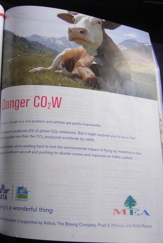 20091227 co2W Mort aux vaches (Danger CO2W)! (ChrisoScope)