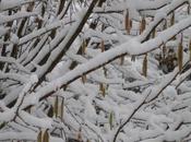 pensée positive jour