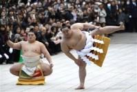 Les sumos célèbrent la nouvelle année à leur manière