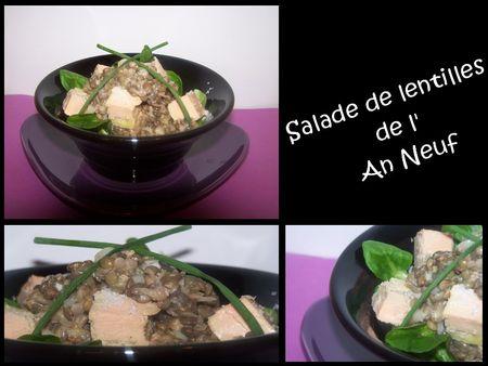 Salade_de_lentilles_de_l_An_Neuf_3