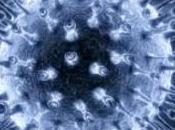 Strasbourg, Grippe H1N1, parlementaires Conseil l’Europe veulent enquête…