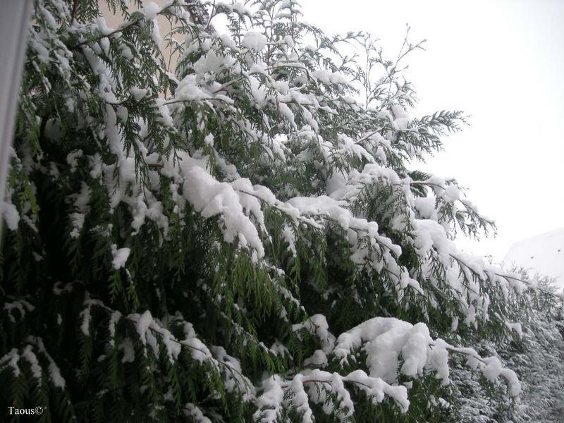La beauté hivernale...