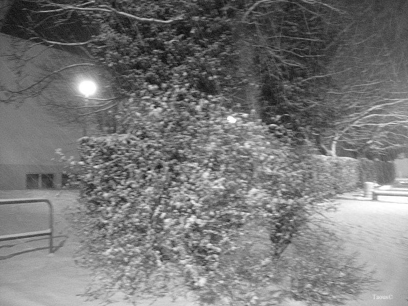 La beauté hivernale...