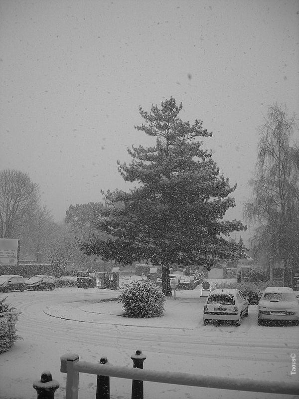 La beauté hivernale...