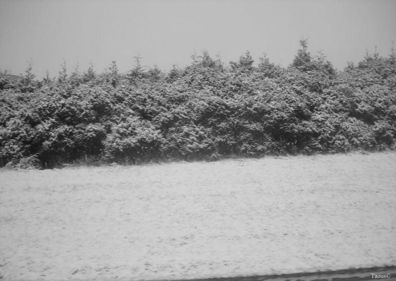 La beauté hivernale...