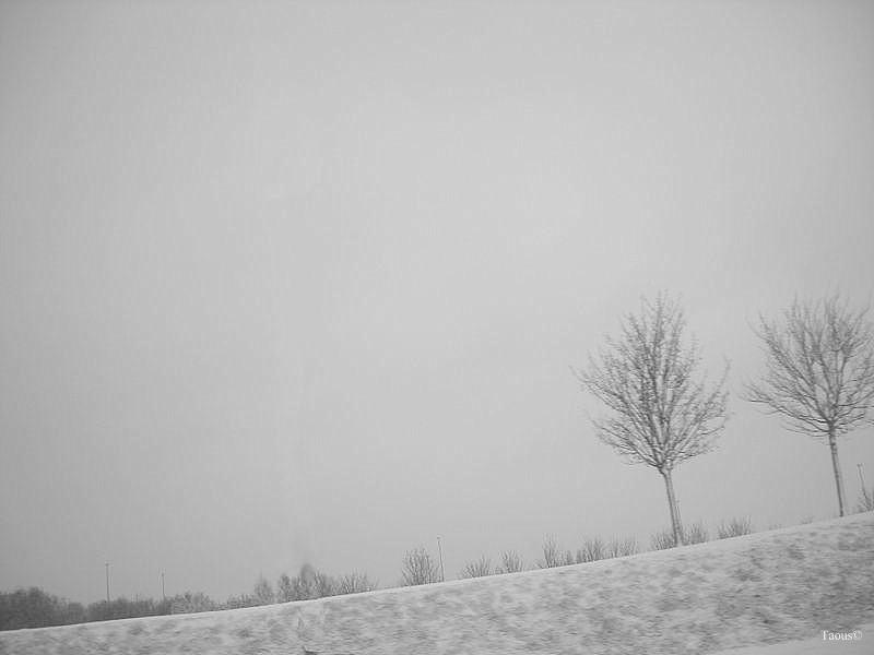 La beauté hivernale...