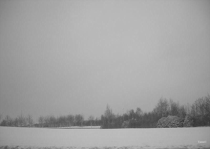 La beauté hivernale...