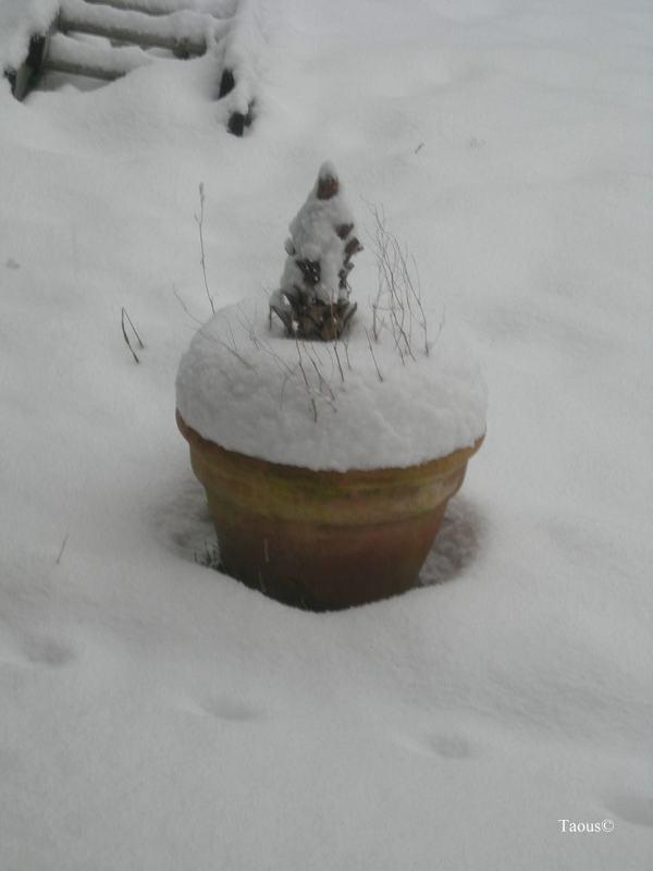La beauté hivernale...