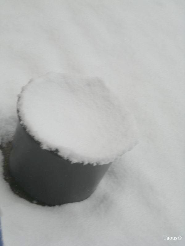 La beauté hivernale...