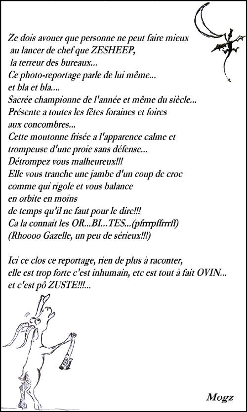 Les trésors retrouvés du fond du sac