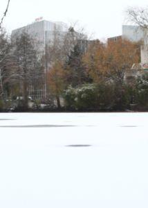 neige toulouse