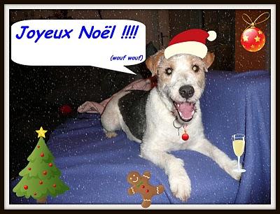 Vanille nous souhaite un joyeux Noël