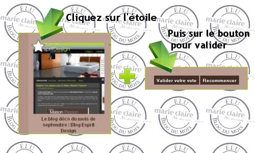 Election du blog déco de l'année 2009
