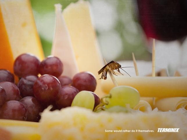 La pub du jour : Plutôt choisir sa mort… [Insecticide]