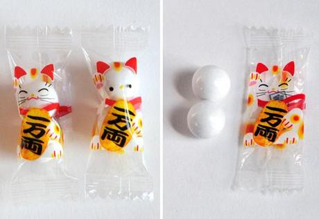 BEACH PACKAGING DESIGN - RANDY LUDACER // cat candy packet
