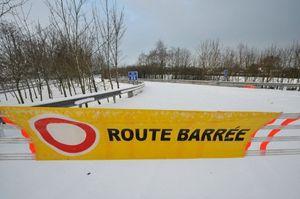 photo_1261142472686_1_0