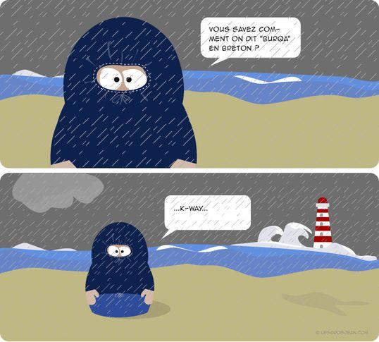 Identité Nationale - Burka - Burqa - Kway