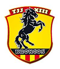 LogoToulouseJJ[1]