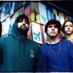 con_animal_collective Hots shots 2009 vus d’ici