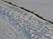 Dans matins d'hiver...