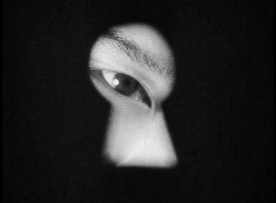 Les armées secrètes de lOTAN (V)