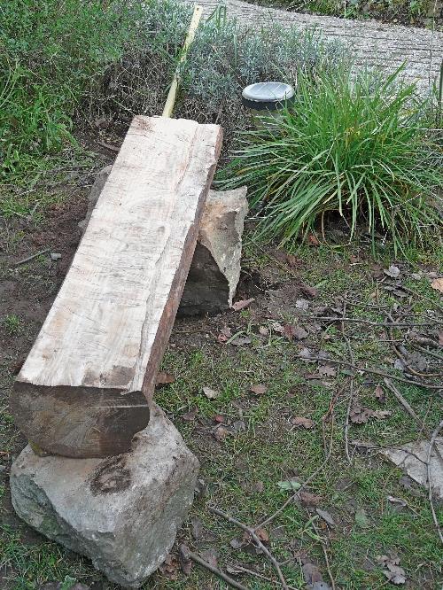 Un banc réalisé à partir d'un pin maritime tombé...