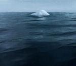vidéo greenpeace iceberg ours polaire