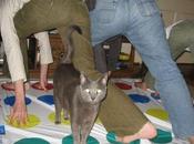 Images Insolites (154 photos)