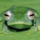 thumbs animaux 2009 016 Les meilleures photos animalières de 2009 (47 photos)