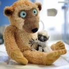 thumbs animaux 2009 029 Les meilleures photos animalières de 2009 (47 photos)