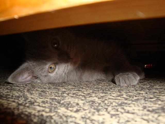 Sous le meuble again…
