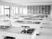 L'Italie décide plafonner nombre d'élèves étrangers dans écoles