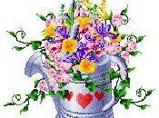 choco framboise pour ans.....