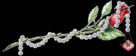 Bonnes idees culinaires a garder sous la main