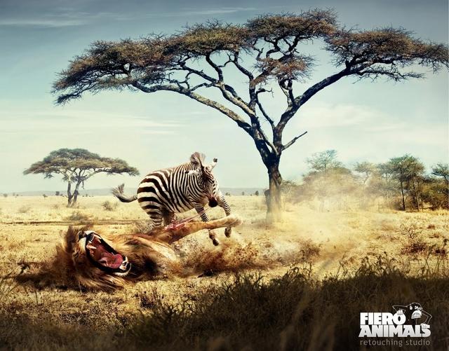 La pub du jour : Animaux Photoshopés [Retouche Photo]