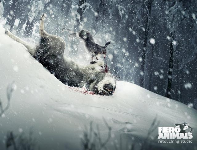 La pub du jour : Animaux Photoshopés [Retouche Photo]