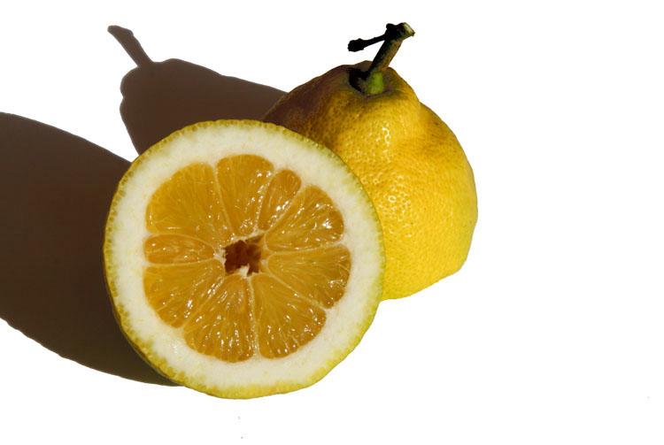 Limao lemon citron