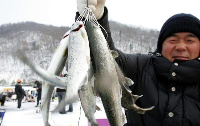festival de peche sur glace en coree du sud 001 Le Festival de pêche sur glace en Corée du Sud (14 photos)