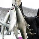 thumbs festival de peche sur glace en coree du sud 001 Le Festival de pêche sur glace en Corée du Sud (14 photos)
