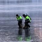thumbs sauvetage de deux faons 007 Sauvetage de deux faons coincés sur un lac gelé (10 photos)