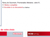 Rapport Tessier Pousser Gallica relancer Europeana